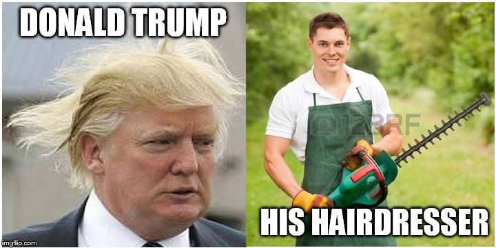 DONALD'S HAIRDRESSER!!! | DONALD TRUMP; HIS HAIRDRESSER | image tagged in donald trump,donald trumph hair | made w/ Imgflip meme maker