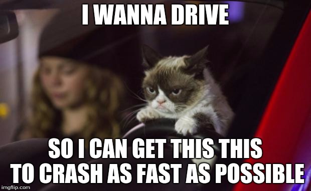 Grumpy Cat Driving | I WANNA DRIVE; SO I CAN GET THIS THIS TO CRASH AS FAST AS POSSIBLE | image tagged in grumpy cat driving | made w/ Imgflip meme maker