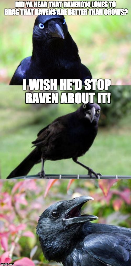 I like to think I'm not that bad... | DID YA HEAR THAT RAVEN014 LOVES TO BRAG THAT RAVENS ARE BETTER THAN CROWS? I WISH HE'D STOP RAVEN ABOUT IT! | image tagged in bad pun crow,raven | made w/ Imgflip meme maker