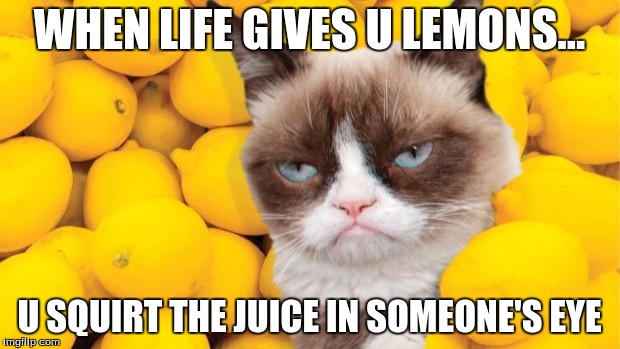 Grumpy Cat lemons | WHEN LIFE GIVES U LEMONS... U SQUIRT THE JUICE IN SOMEONE'S EYE | image tagged in grumpy cat lemons | made w/ Imgflip meme maker