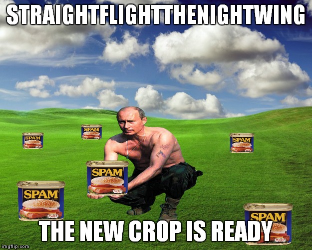 STRAIGHTFLIGHTTHENIGHTWING THE NEW CROP IS READY | made w/ Imgflip meme maker