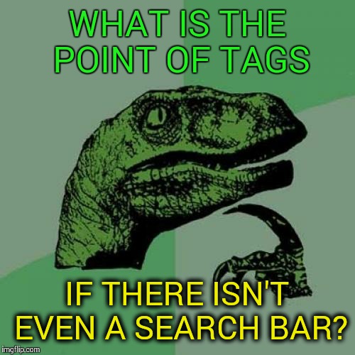 What are the tags even for? | WHAT IS THE POINT OF TAGS; IF THERE ISN'T EVEN A SEARCH BAR? | image tagged in memes,philosoraptor,search bar,tags | made w/ Imgflip meme maker