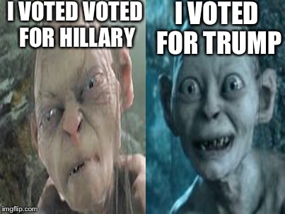 Duality | I VOTED VOTED FOR HILLARY; I VOTED FOR TRUMP | image tagged in meme | made w/ Imgflip meme maker