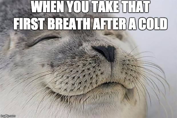 Satisfied Seal Meme | WHEN YOU TAKE THAT; FIRST BREATH AFTER A COLD | image tagged in memes,satisfied seal | made w/ Imgflip meme maker