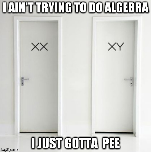 Men. Always trying to solve for x | I AIN'T TRYING TO DO ALGEBRA; I JUST GOTTA  PEE | image tagged in eenie meenie miney mo,knock knock,who's there,i'll just take the cash wayne,occupied by anonymous | made w/ Imgflip meme maker