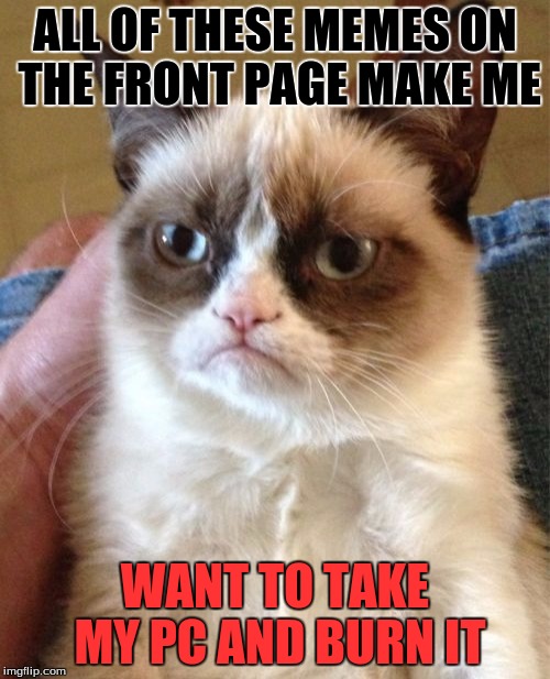 Grumpy Cat Meme | ALL OF THESE MEMES ON THE FRONT PAGE MAKE ME; WANT TO TAKE MY PC AND BURN IT | image tagged in memes,grumpy cat | made w/ Imgflip meme maker