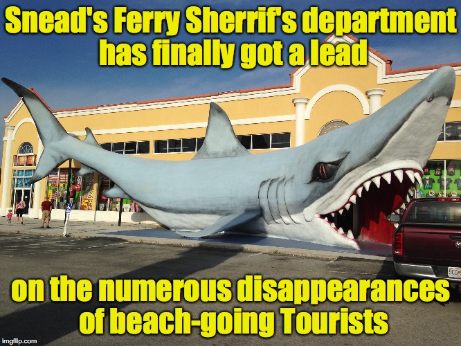 Sorta obvious when you think about it | Snead's Ferry Sherrif's department has finally got a lead; on the numerous disappearances of beach-going Tourists | image tagged in shark,tourists,beach | made w/ Imgflip meme maker