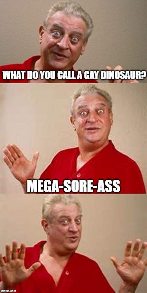 bad pun Dangerfield  | WHAT DO YOU CALL A GAY DINOSAUR? MEGA-SORE-ASS | image tagged in bad pun dangerfield | made w/ Imgflip meme maker