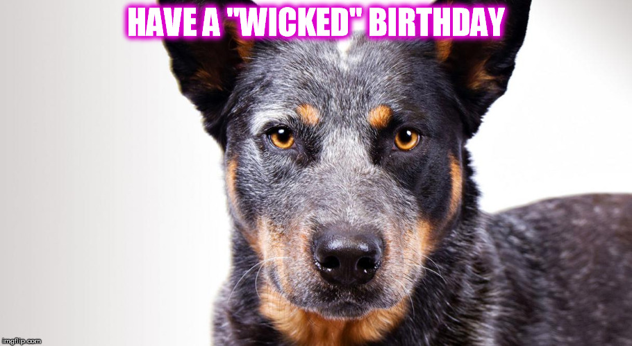 HAVE A "WICKED" BIRTHDAY | image tagged in happy birthday | made w/ Imgflip meme maker
