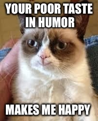 There's always something to smile about | YOUR POOR TASTE IN HUMOR; MAKES ME HAPPY | image tagged in funny memes,grumpy cat,featured,latest,photography | made w/ Imgflip meme maker