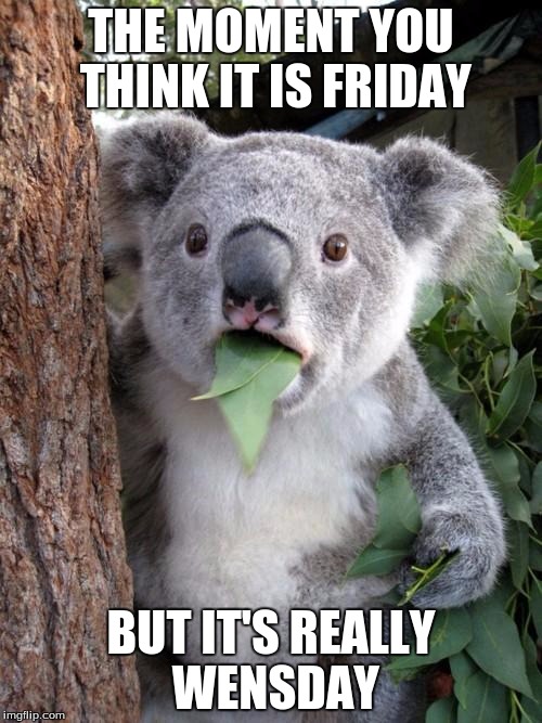Surprised Koala |  THE MOMENT YOU THINK IT IS FRIDAY; BUT IT'S REALLY WENSDAY | image tagged in memes,surprised koala | made w/ Imgflip meme maker