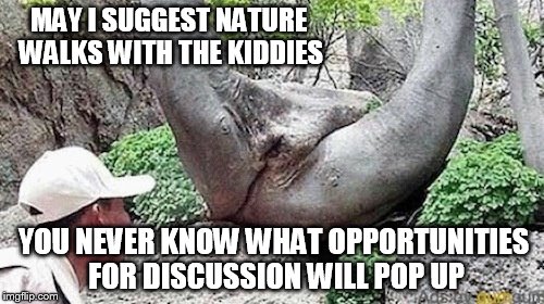 This one is for you dawg.  | MAY I SUGGEST NATURE WALKS WITH THE KIDDIES; YOU NEVER KNOW WHAT OPPORTUNITIES FOR DISCUSSION WILL POP UP | image tagged in memes,funny | made w/ Imgflip meme maker