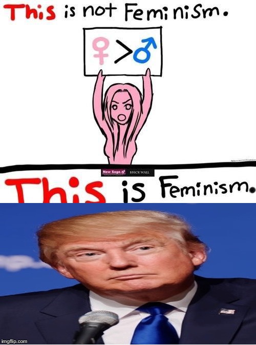 Feminism | image tagged in feminism,donald trump | made w/ Imgflip meme maker