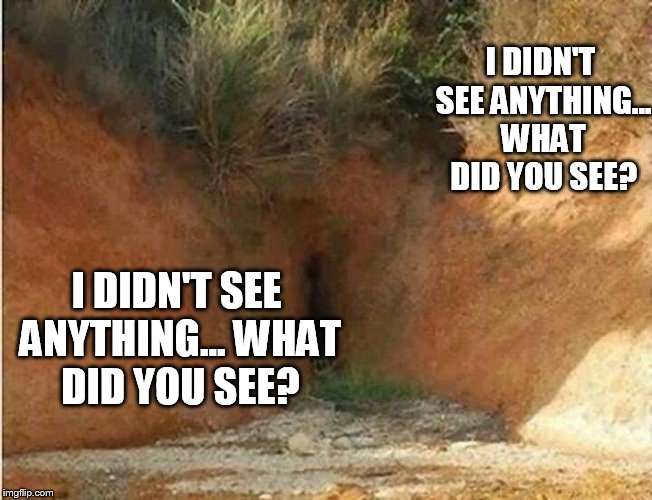 I DIDN'T SEE ANYTHING... WHAT DID YOU SEE? I DIDN'T SEE ANYTHING... WHAT DID YOU SEE? | made w/ Imgflip meme maker