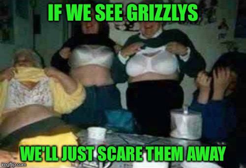 IF WE SEE GRIZZLYS WE'LL JUST SCARE THEM AWAY | made w/ Imgflip meme maker