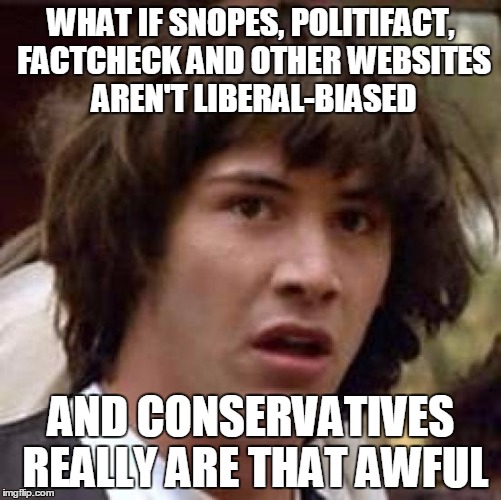 Conspiracy Keanu Meme | WHAT IF SNOPES, POLITIFACT, FACTCHECK AND OTHER WEBSITES AREN'T LIBERAL-BIASED; AND CONSERVATIVES REALLY ARE THAT AWFUL | image tagged in memes,conspiracy keanu | made w/ Imgflip meme maker