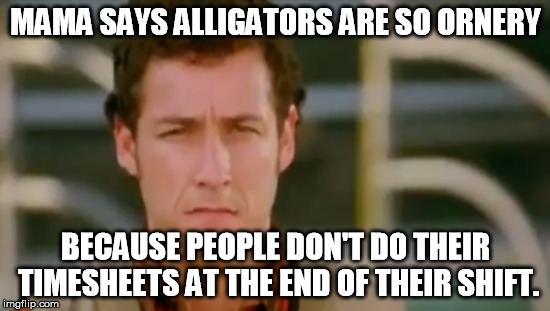 Mama Said | MAMA SAYS ALLIGATORS ARE SO ORNERY; BECAUSE PEOPLE DON'T DO THEIR TIMESHEETS AT THE END OF THEIR SHIFT. | image tagged in timesheet reminder | made w/ Imgflip meme maker