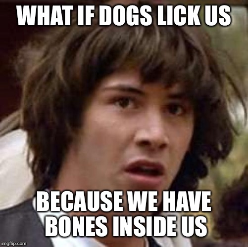 How many licks does it take to get to the center of a human | WHAT IF DOGS LICK US; BECAUSE WE HAVE BONES INSIDE US | image tagged in memes,conspiracy keanu | made w/ Imgflip meme maker
