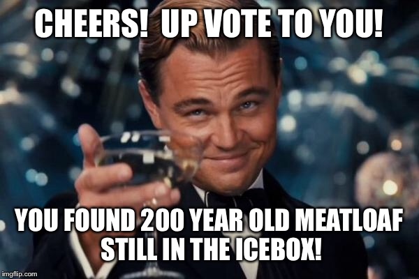 Leonardo Dicaprio Cheers Meme | CHEERS!  UP VOTE TO YOU! YOU FOUND 200 YEAR OLD MEATLOAF STILL IN THE ICEBOX! | image tagged in memes,leonardo dicaprio cheers | made w/ Imgflip meme maker
