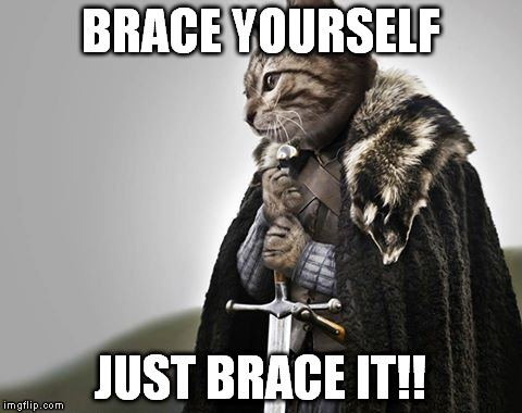 Brace Yourselves Kitty Keanu | BRACE YOURSELF; JUST BRACE IT!! | image tagged in brace yourselves kitty keanu | made w/ Imgflip meme maker