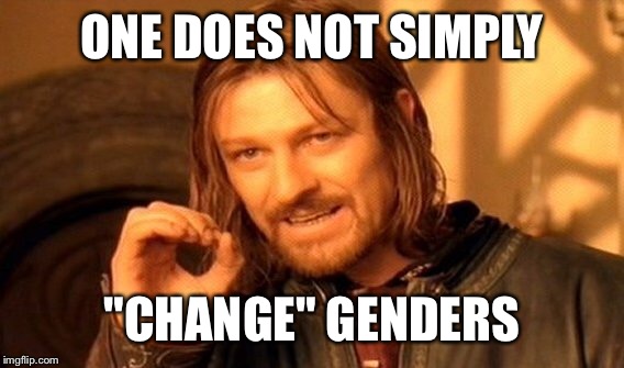 One Does Not Simply Meme | ONE DOES NOT SIMPLY "CHANGE" GENDERS | image tagged in memes,one does not simply | made w/ Imgflip meme maker