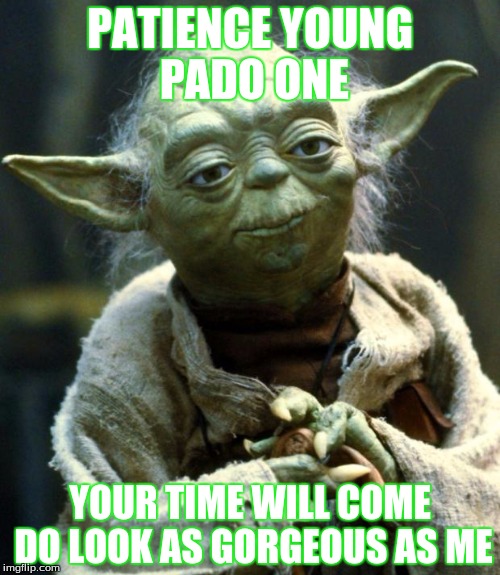 Star Wars Yoda | PATIENCE YOUNG PADO ONE; YOUR TIME WILL COME DO LOOK AS GORGEOUS AS ME | image tagged in memes,star wars yoda | made w/ Imgflip meme maker