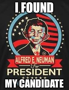 Al for President! | I FOUND; MY CANDIDATE | image tagged in alfred,election 2016,hillary,donald trump,memes,funny | made w/ Imgflip meme maker