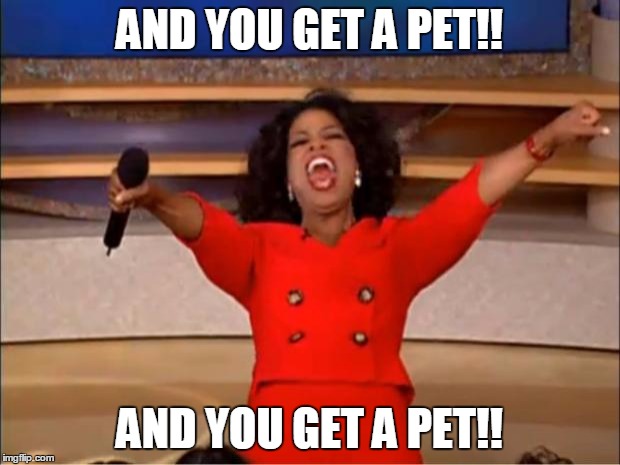 Oprah You Get A | AND YOU GET A PET!! AND YOU GET A PET!! | image tagged in memes,oprah you get a | made w/ Imgflip meme maker