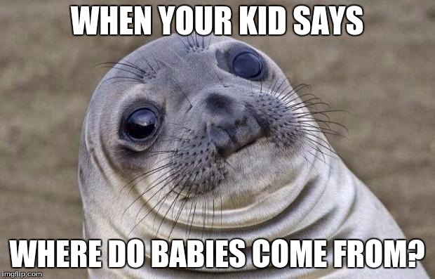 Awkward Moment Sealion | WHEN YOUR KID SAYS; WHERE DO BABIES COME FROM? | image tagged in memes,awkward moment sealion | made w/ Imgflip meme maker