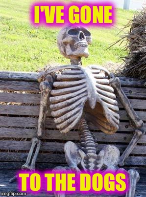 Waiting Skeleton Meme | I'VE GONE TO THE DOGS | image tagged in memes,waiting skeleton | made w/ Imgflip meme maker