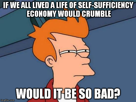 There would be no services and life would be shorter for sure... but we would be more natural and alive to me. Am I Going Amish? |  IF WE ALL LIVED A LIFE OF SELF-SUFFICIENCY ECONOMY WOULD CRUMBLE; WOULD IT BE SO BAD? | image tagged in memes,futurama fry | made w/ Imgflip meme maker