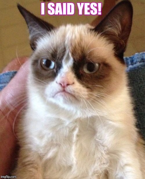 Grumpy Cat | I SAID YES! | image tagged in memes,grumpy cat | made w/ Imgflip meme maker