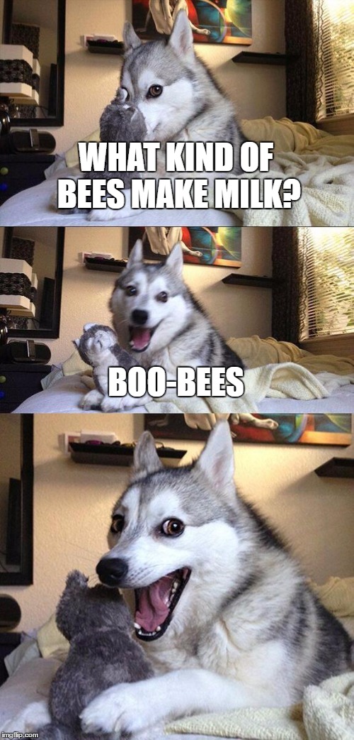 Boo-bees! | WHAT KIND OF BEES MAKE MILK? BOO-BEES | image tagged in memes,bad pun dog | made w/ Imgflip meme maker