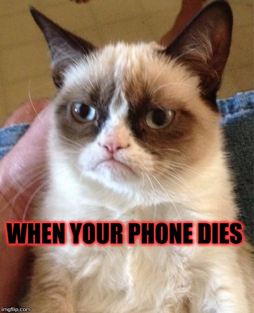 Grumpy Cat Meme | WHEN YOUR PHONE DIES | image tagged in memes,grumpy cat | made w/ Imgflip meme maker