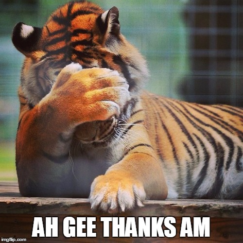 Facepalm Tiger |  AH GEE THANKS AM | image tagged in facepalm tiger | made w/ Imgflip meme maker