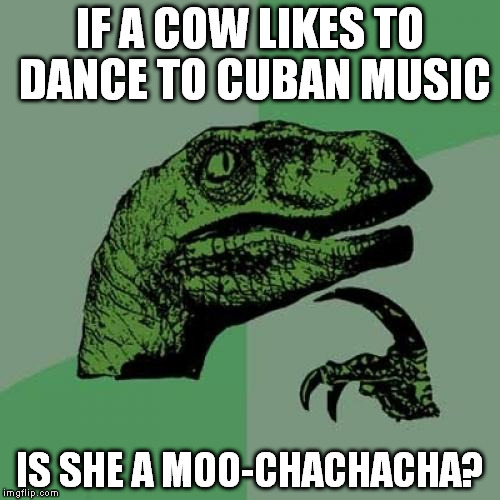 Philosoraptor | IF A COW LIKES TO DANCE TO CUBAN MUSIC; IS SHE A MOO-CHACHACHA? | image tagged in memes,philosoraptor | made w/ Imgflip meme maker
