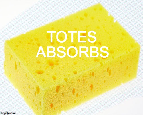 Yes, I'm a member of the Sponge Bob fan club. Why do you ask? | TOTES; ABSORBS | image tagged in totes absorbs,sponge,funny meme,spongebob | made w/ Imgflip meme maker