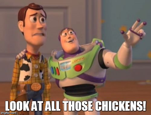 X, X Everywhere Meme | LOOK AT ALL THOSE CHICKENS! | image tagged in memes,x x everywhere | made w/ Imgflip meme maker