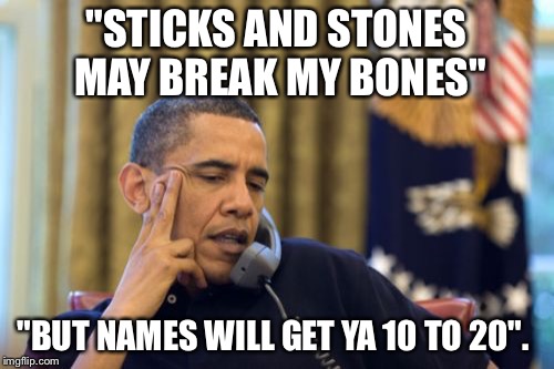 No I Can't Obama | "STICKS AND STONES MAY BREAK MY BONES"; "BUT NAMES WILL GET YA 10 TO 20". | image tagged in memes,no i cant obama | made w/ Imgflip meme maker