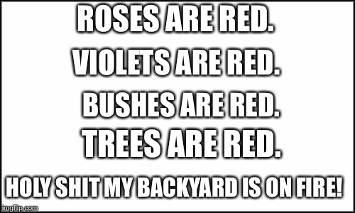 plain white | ROSES ARE RED. VIOLETS ARE RED. BUSHES ARE RED. TREES ARE RED. HOLY SHIT MY BACKYARD IS ON FIRE! | image tagged in plain white | made w/ Imgflip meme maker