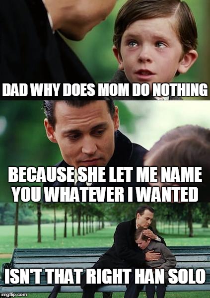 Finding Neverland Meme | DAD WHY DOES MOM DO NOTHING; BECAUSE SHE LET ME NAME YOU WHATEVER I WANTED; ISN'T THAT RIGHT HAN SOLO | image tagged in memes,finding neverland | made w/ Imgflip meme maker