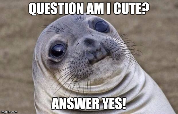Awkward Moment Sealion Meme | QUESTION AM I CUTE? ANSWER YES! | image tagged in memes,awkward moment sealion | made w/ Imgflip meme maker