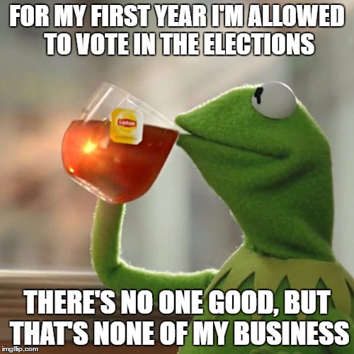 But That's None Of My Business | FOR MY FIRST YEAR I'M ALLOWED TO VOTE IN THE ELECTIONS; THERE'S NO ONE GOOD, BUT THAT'S NONE OF MY BUSINESS | image tagged in memes,but thats none of my business,kermit the frog | made w/ Imgflip meme maker