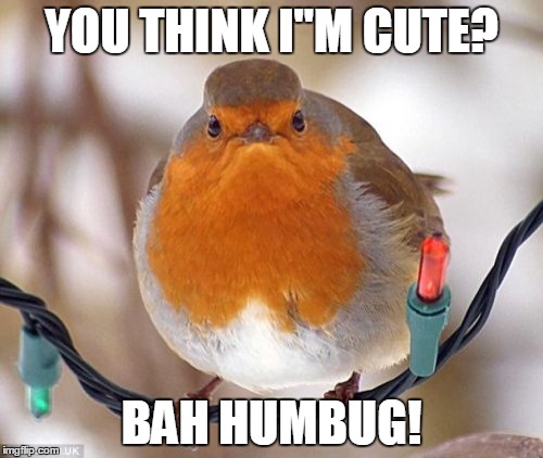 Bah Humbug | YOU THINK I"M CUTE? BAH HUMBUG! | image tagged in memes,bah humbug | made w/ Imgflip meme maker