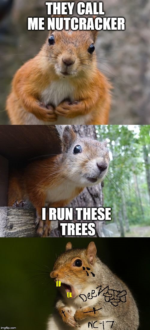  bad pun squirrel | THEY CALL ME NUTCRACKER; I RUN THESE TREES | image tagged in bad pun squirrel | made w/ Imgflip meme maker