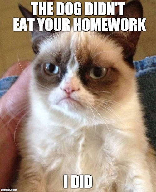 Grumpy Cat | THE DOG DIDN'T EAT YOUR HOMEWORK; I DID | image tagged in memes,grumpy cat | made w/ Imgflip meme maker