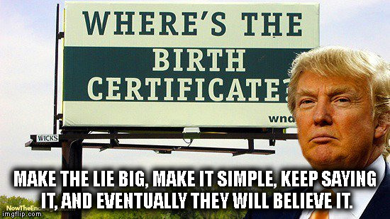 MAKE THE LIE BIG, MAKE IT SIMPLE, KEEP SAYING IT, AND EVENTUALLY THEY WILL BELIEVE IT. | image tagged in donald trump | made w/ Imgflip meme maker