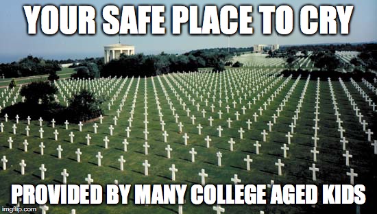 American graveyards in Normandy | YOUR SAFE PLACE TO CRY; PROVIDED BY MANY COLLEGE AGED KIDS | image tagged in american graveyards in normandy | made w/ Imgflip meme maker