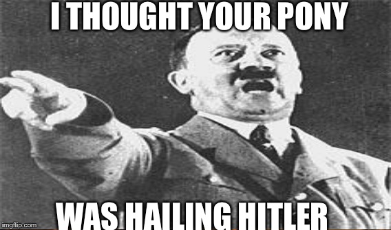 I THOUGHT YOUR PONY WAS HAILING HITLER | made w/ Imgflip meme maker