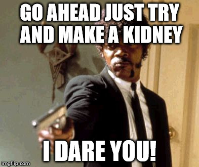 Say That Again I Dare You | GO AHEAD JUST TRY AND MAKE A KIDNEY; I DARE YOU! | image tagged in memes,say that again i dare you | made w/ Imgflip meme maker